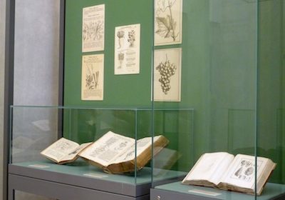 Antichi erbari della Biblioteca di Trento